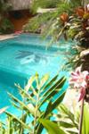Roatan Honduras - Tranquilses Eco Lodge & Dive Center - The perfect island getaway!