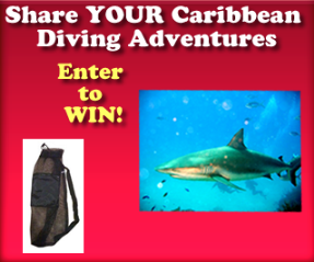 Caribbean Dive Travel