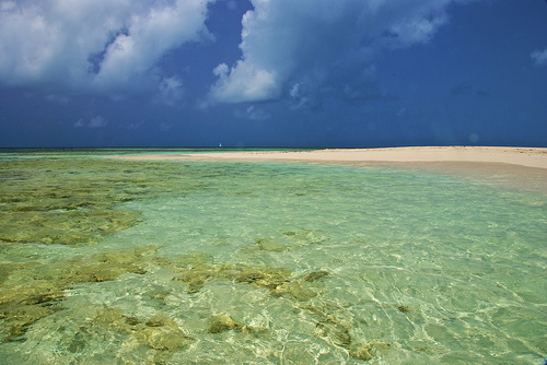 Antigua dive vacations