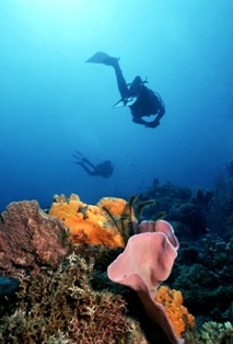 Caribbean-scuba-01