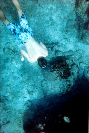 Cave Diving Pictures-03