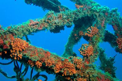  Shoal Bay East Beach, Anguilla - Shoal Bay Scuba (Karma Charters) Ltd. - Wreck , Anguilla