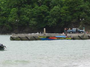 tobago-snorkeling-04