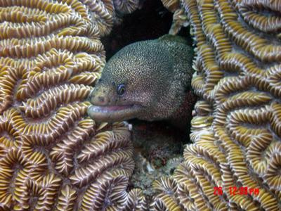 Taganga, Colombia - Aquantis Dive Center