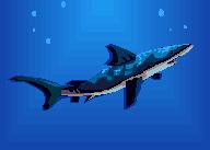 All Types of Sharks