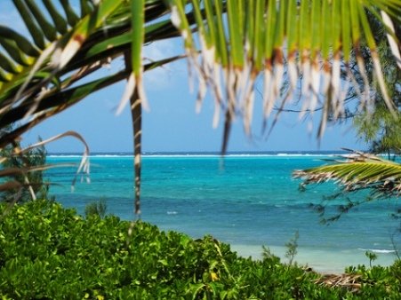 Cayman Islands Scuba Diving