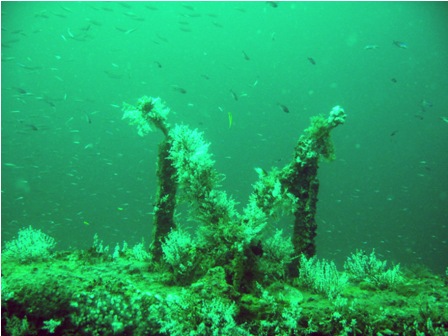 caribbean-wreck-diving-01