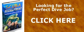 Click Here perfect-diving-job-01