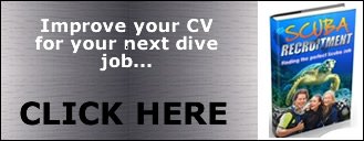 Click Here perfect-diving-job-03