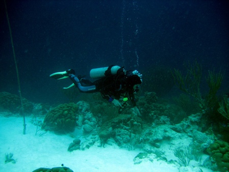 pictures of scuba divers-02 pictures of scuba divers-02