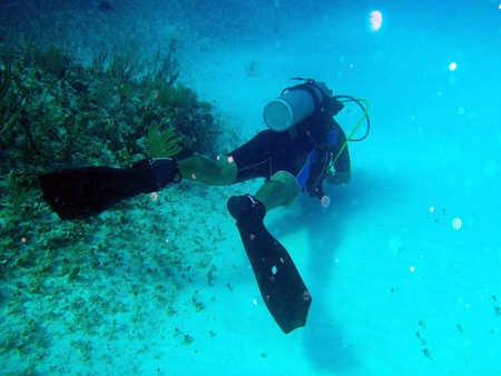 pictures of scuba divers-03 pictures of scuba divers-03