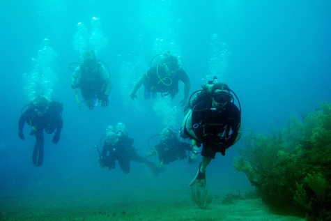 Scuba Diving in Cuba 