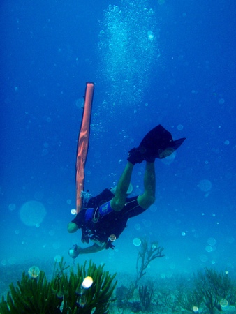 scuba-diving-pictures-03