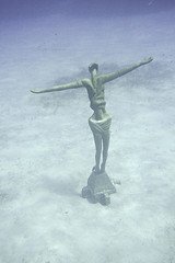 by Jim Bahn Underwater wallpapers