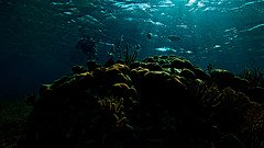 by jayhem Underwater Desktop Wallpaper